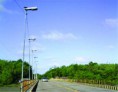 /album/ajuruteua/ponte-ajuruteua-jpg/